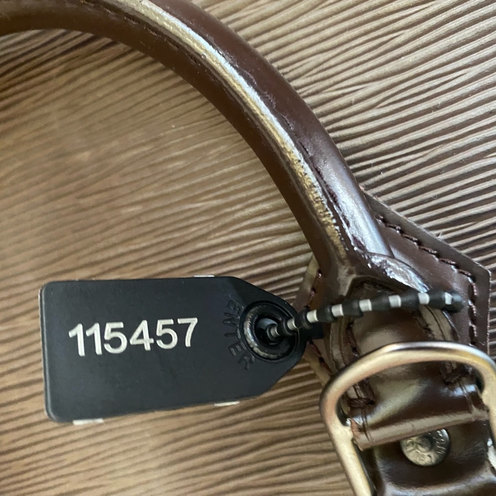 LOUIS VUITTON Moka Brown Epi Leather Alma PM Bag - Picture 12 of 14
